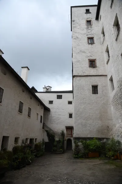 DSC_6379 (Large).JPG